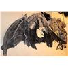 Image 5 : DEVIL'S NIGHT WINGED DEMON COSTUME SCREEN MATCHED KEVIN SORBO