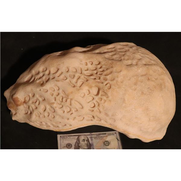 INVASION OF THE BODY SNATCHERS 1993 ALIEN POD CASTING