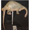 Image 2 : LAND OF THE LOST 1991 BRONTOSAURUS ANIMATRONIC PUPPET B