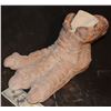 Image 2 : LAND OF THE LOST 1991 TASHA HERO ANIMATRONIC DINOSAUR HEAD WITH ASS TAIL AND FOOT