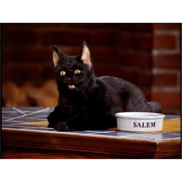 SABRINA THE TEENAGE WITCH A SALEM PUPPET COLLECTION