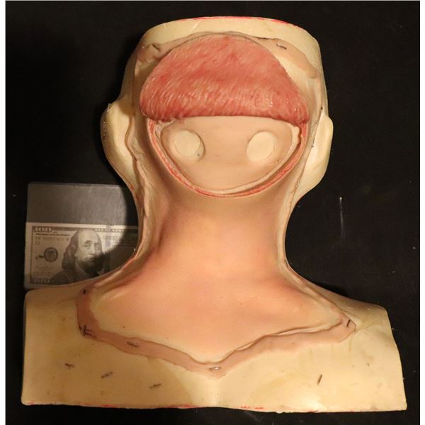 SILICONE BRAIN SURGERY APPLIANCE COWL ON FORM