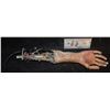Image 1 : UNKNOWN CYBORG ARMATURED SILICONE RIGHT ARM A