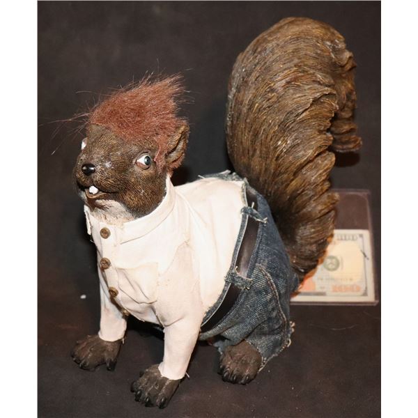 ZZ BIG BROTHER BENNY THE BB SQUIRREL GREASER IN JEANS