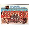 Image 1 : 1975-76 NHL TOPPS CHICAGO BLACK HAWKS