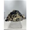 Image 1 : 10 X 9 INCH BLUE BERRY  ON MATRIX ON STAND