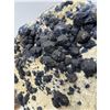 Image 8 : 10 X 9 INCH BLUE BERRY  ON MATRIX ON STAND