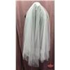 Image 1 : ACCESSORY : Fingertip Veil : Bridal Classics : V-663 : Ivory