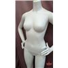 Image 2 : FIXTURE : Plastic Female Full Body Mannequin