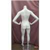 Image 7 : FIXTURE : Plastic Female Full Body Mannequin