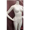 Image 3 : FIXTURE : Plastic Female Full Body Mannequin