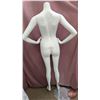 Image 7 : FIXTURE : Plastic Female Full Body Mannequin