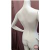 Image 8 : FIXTURE : Plastic Female Full Body Mannequin