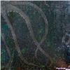 Image 2 : Untitled by Wyland Original