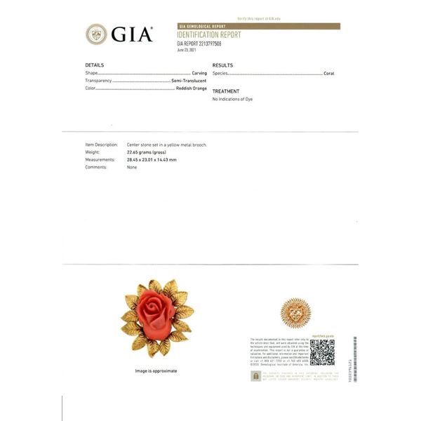 Vintage GIA NO DYE Carved Rose Coral Pin Brooch w/ 18k Gold Textured Leaf Frame