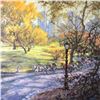 Image 1 : Central Park by Richard Zu Ming Ho. ORIG