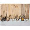 Image 1 : 6 Sets Of Pronghorn Antelope Horns Taxidermy
