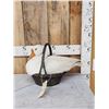 Image 1 : White Chinese Goose In A Basket Full Body Bird Taxidermy