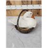 Image 4 : White Chinese Goose In A Basket Full Body Bird Taxidermy