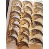 Image 3 : 20 Bkack Bear Claws Taxidermy