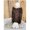 Image 5 : 100% Reproduction Bald Eagle Full Body Bird Taxidermy