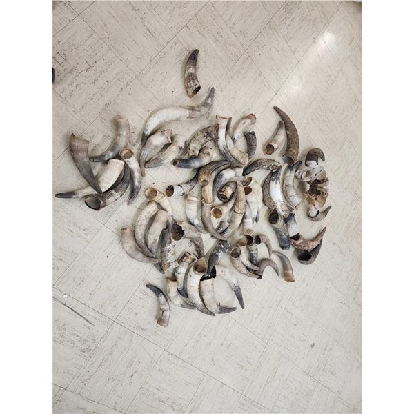 Bison & Cattle Horn Caps Lot