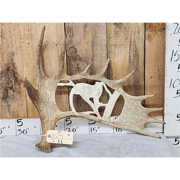 Hand Carved Mountain Lion In Moose Antler