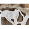 Image 3 : Hand Carved Mountain Lion In Moose Antler