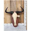 Image 1 : African Blue Wildebeest Skull On Plaque Taxidermy