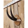 Image 2 : African Roan Antelope Horns On Plaque