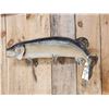 Image 3 : 33" Northern Pike Real Skin Fish Taxidermy
