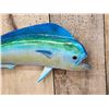Image 2 : 27" Mahi Mahi Reproduction Fish Taxidermy