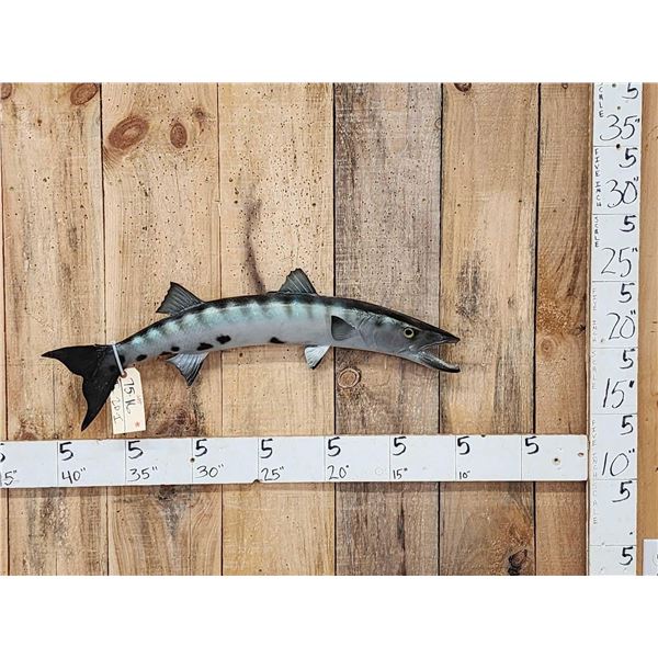 31" Barracuda Reproduction Fish Taxidermy