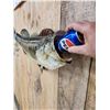 Image 5 : 24" Largemouth Bass Real Skin Fish Taxidermy