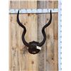 Image 1 : African Kudu Horns On Plaque Taxidermy