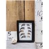 Image 1 : 10 Black Bear Claws In Frame Taxidermy