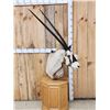 Image 2 : African Gemsbok Pedestal Taxidermy Mount