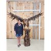 Image 1 : Spectacular Hand Carved Driftwood Eagle Sculpture