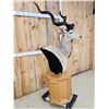 Image 3 : African Kudu Pedestal Taxidermy Mount