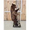Image 3 : Brown Phase Black Bear Full Body Taxidermy Mount
