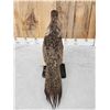 Image 5 : Greater Sage Grouse Rooster Full Body Bird Taxidermy