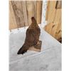 Image 5 : Farm Chicken Full Body Taxidermy Mount