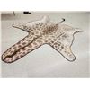 Image 1 : Big Giraffe Rug Taxidermy