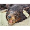 Image 7 : Black Bear Rug Taxidermy