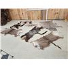 Tanned African Back Skins Lot Taxidermy