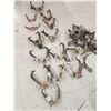 Pronghorn Antelope Horns & Skulls Lot Taxidermy