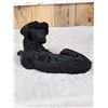 Image 5 : Reproduction Black Lab Puppy Full Body Taxidermy Mount