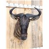 Image 3 : African Blue Wildebeest Shoulder Mount Taxidermy