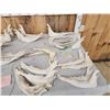 Image 5 : Big Game Jawbone Lot Taxidermy