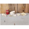 Image 1 : Snall Game Fur Bearers Skull Lot Taxidermy